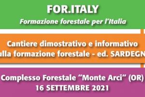 Immagine FOR.ITALY FORESTAS